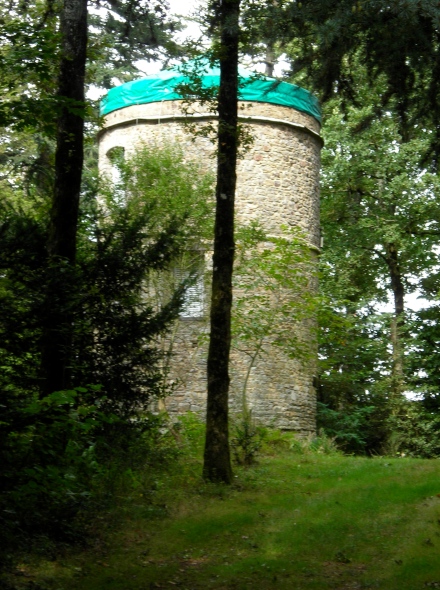 Moulin du Bourg - Pancé