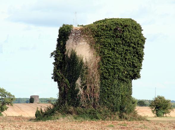 Un 2e moulin de La Jaudonnire