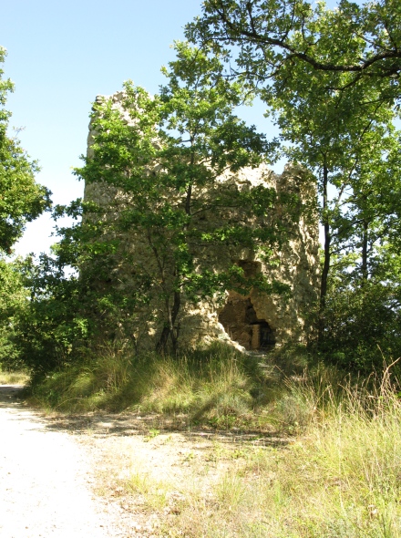 Ancien moulin  Pavie