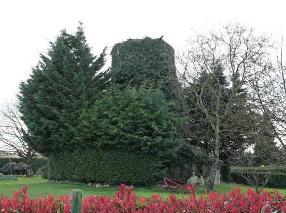 Moulin de la Brousse - Pless