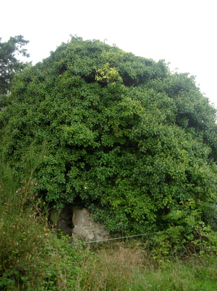 Moulin de la Haie - Prinquiau