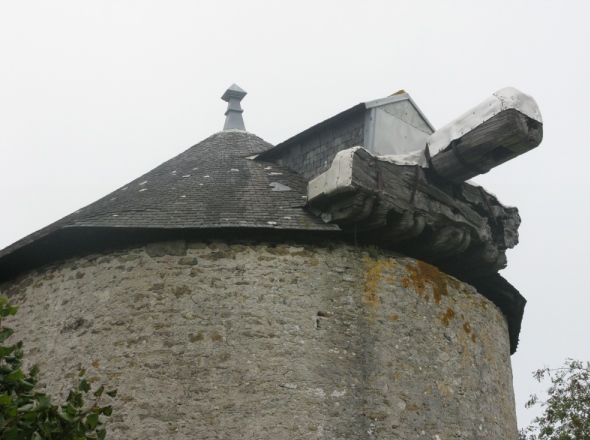 Tte de l'arbre supportant les ailes