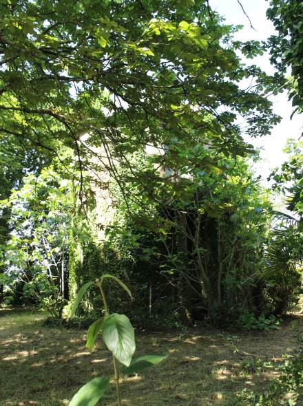 Moulin de Bogeais - Rochefort en Terre