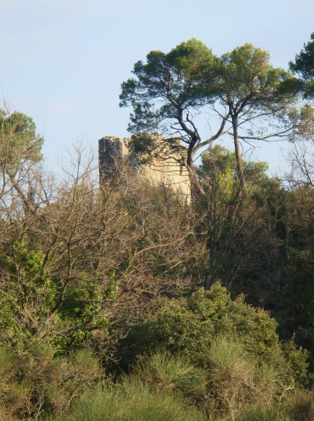 Moulin de St Julien - Rognes