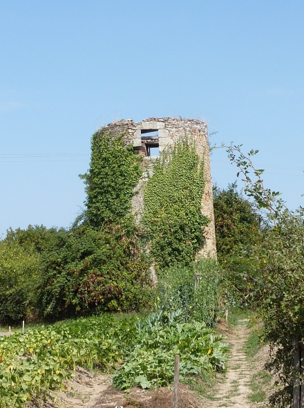 Moulin de la Chesnaie - Rouans