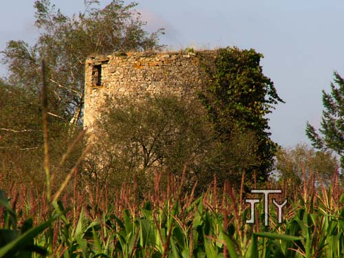 Moulin de l'Orgerais - Ruffign, autre vue