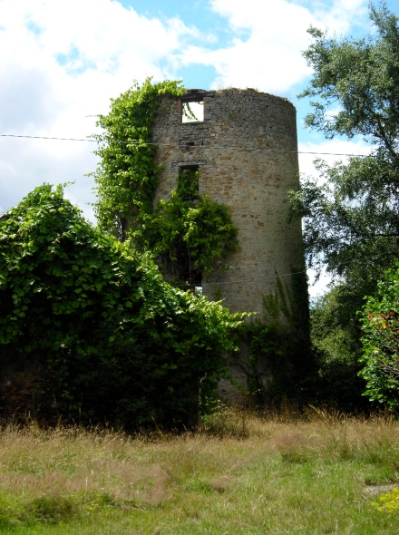 Moulin de l'Orgerais - Ruffign