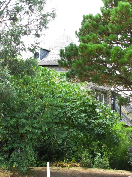 Moulin de Brhuidic - Sarzeau