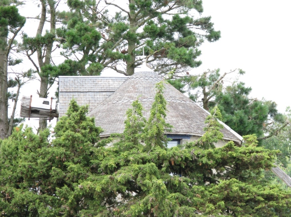 Toit et tte d'arbre du moulin de Brillac