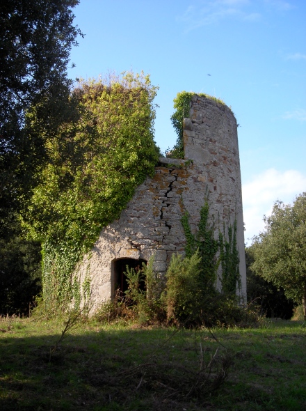 Moulin de Prat Bihan - Sarzeau