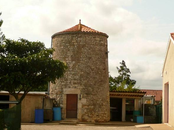 Moulin des Vignes - Srign