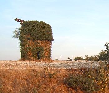 Le moulin de la Meslière en 2005