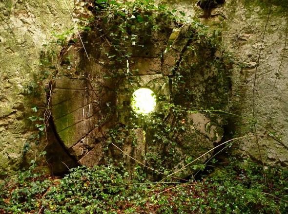 Meule du moulin sous le lierre