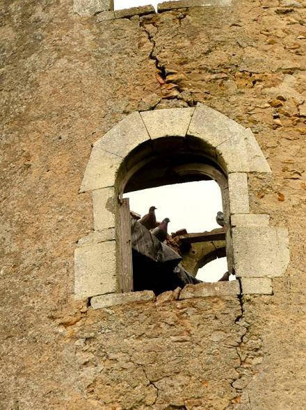 Moulin habit par les pigeons !