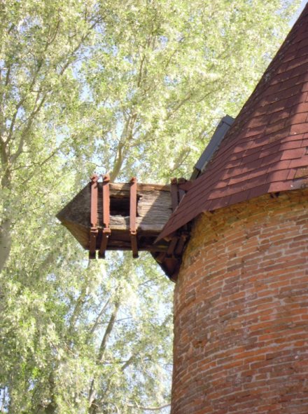 Tte de l'arbre du moulin