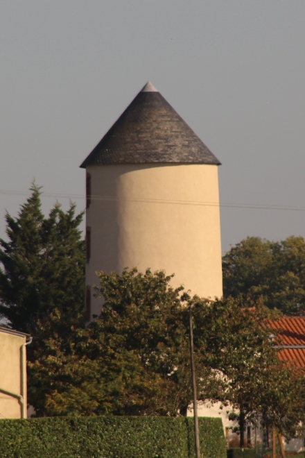 Moulin de Rielle - St Florent le Vieil - La Boutouchre