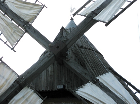 Tte d'arbre supportant les ailes