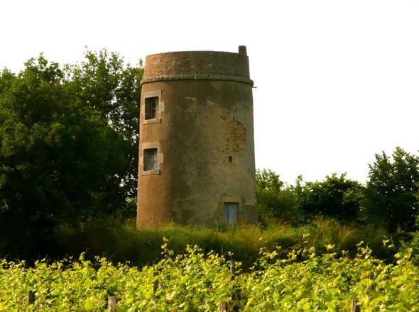 Moulin des bois - St Martin des Noyers