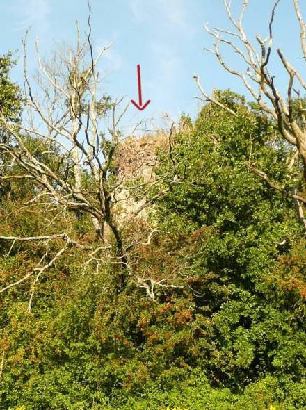 4e moulin des Bois de la Cour, en ruines