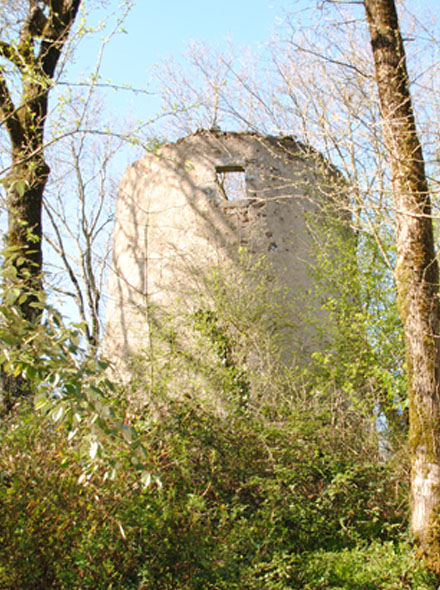 Moulin de la Lublinire N 3 - St Paul en Pareds, autre vue