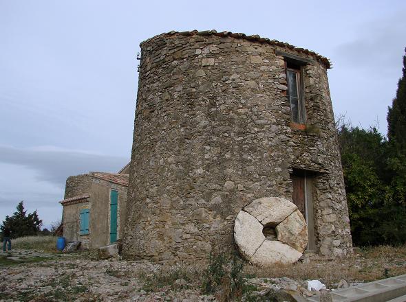 Talairan JungleKey.fr Wiki