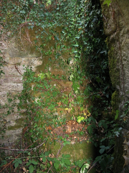 Intérieur du moulin de Treffléan, escalier enduit de mousse