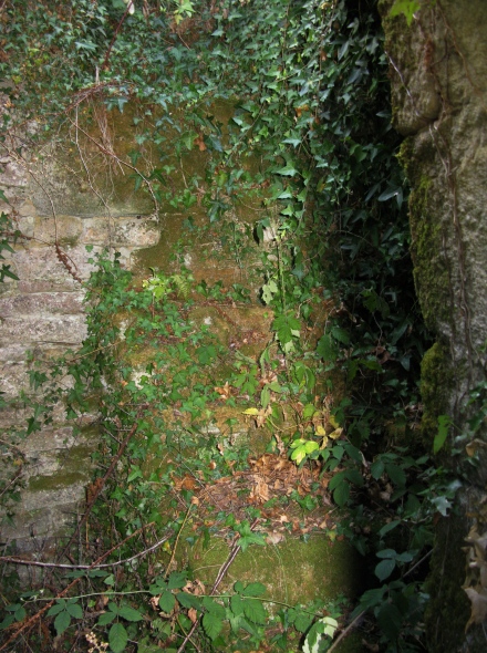 Intrieur du moulin de Trefflan, escalier enduit de mousse