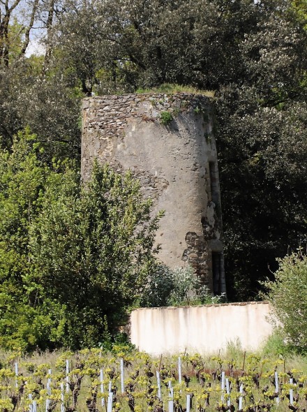 Un des moulins du Portillon - Vertou