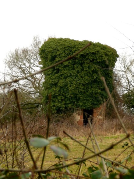 Un second  moulin de l'Eperonnire - Vezins