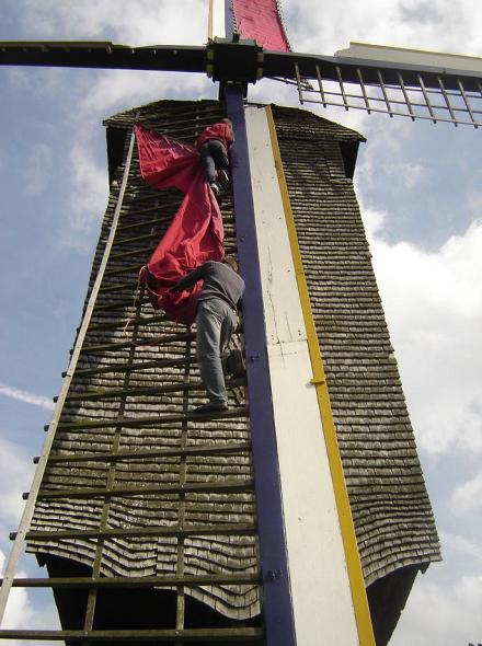 Pose des toiles par Matthieu et un bnvole