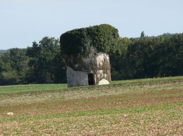 Un 1er moulin à l'Est de Chiré en Montreuil