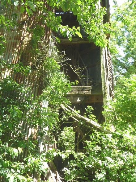 Vue partielle de l'intrieur du moulin, l'escalier en bois ne tient plus
