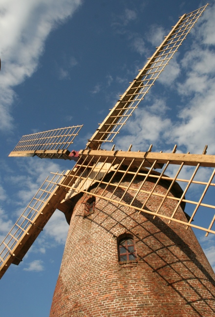 Les ailes flamandes, de plus pr�s