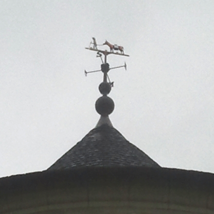 Girouette du moulin Coquet