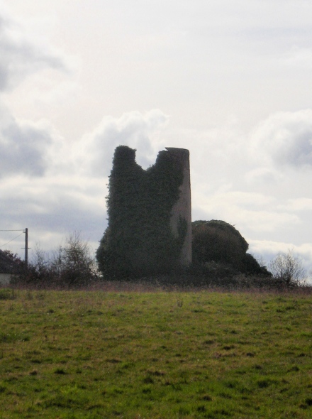 Moulin des Ecobues - Fgrac