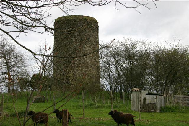 Moulin de l'Aulnaie - La Boissire du Dor