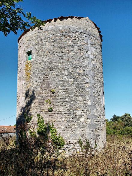 Moulin de la Côte - Le Château d'Oléron