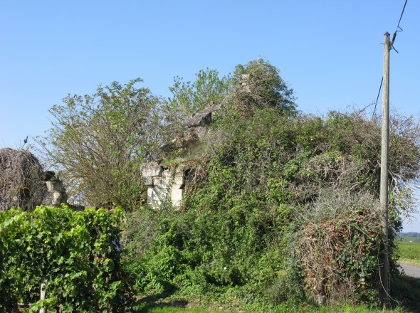 Un moulin cavier en ruine sur la route du Moulin de la Perruche à une centaine de mètres