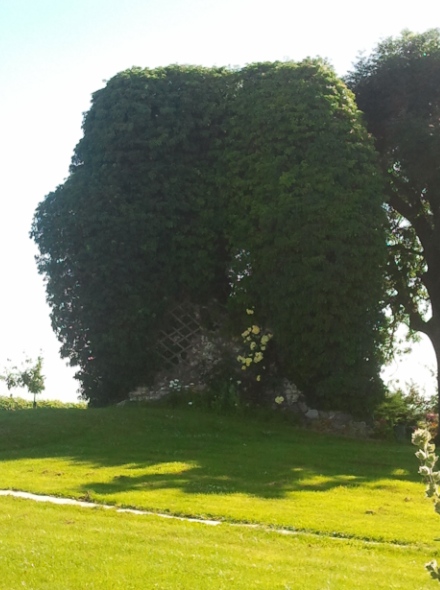 Moulin de Neuilly l'H�pital