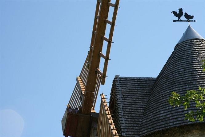 Tête d'arbre et ailes du moulin