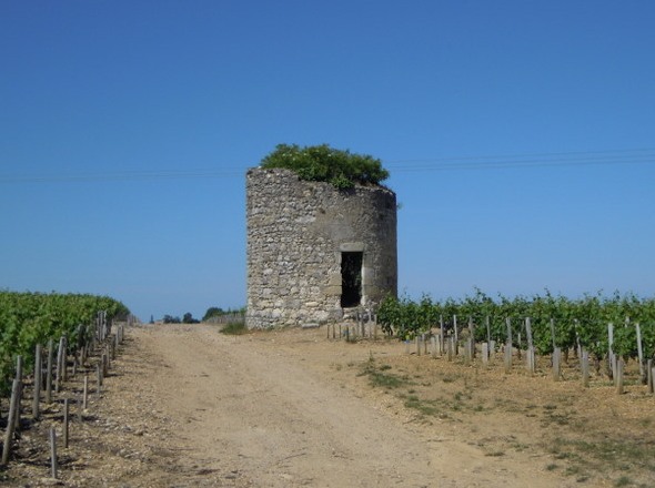 Ancien moulin à St Estèphe - St Corbian