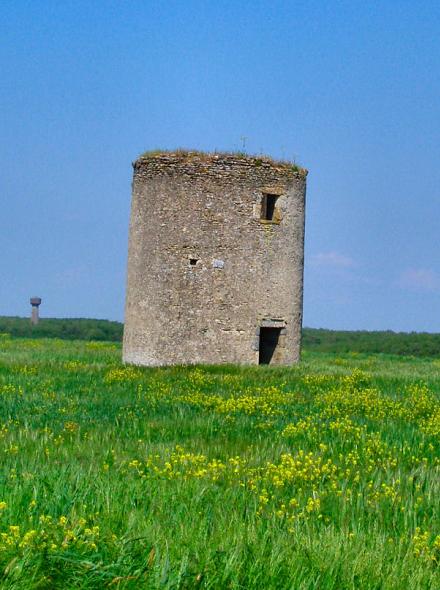 Un moulin de St Loup sur Thouet