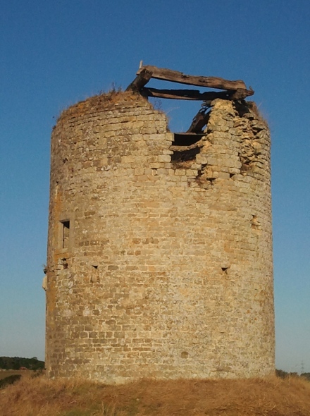 Le moulin L'Abb� � St Martin Boulogne, autre vue